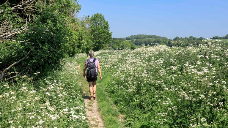 Walker on Little Down footpath in spring at Slindon Estate, West Sussex